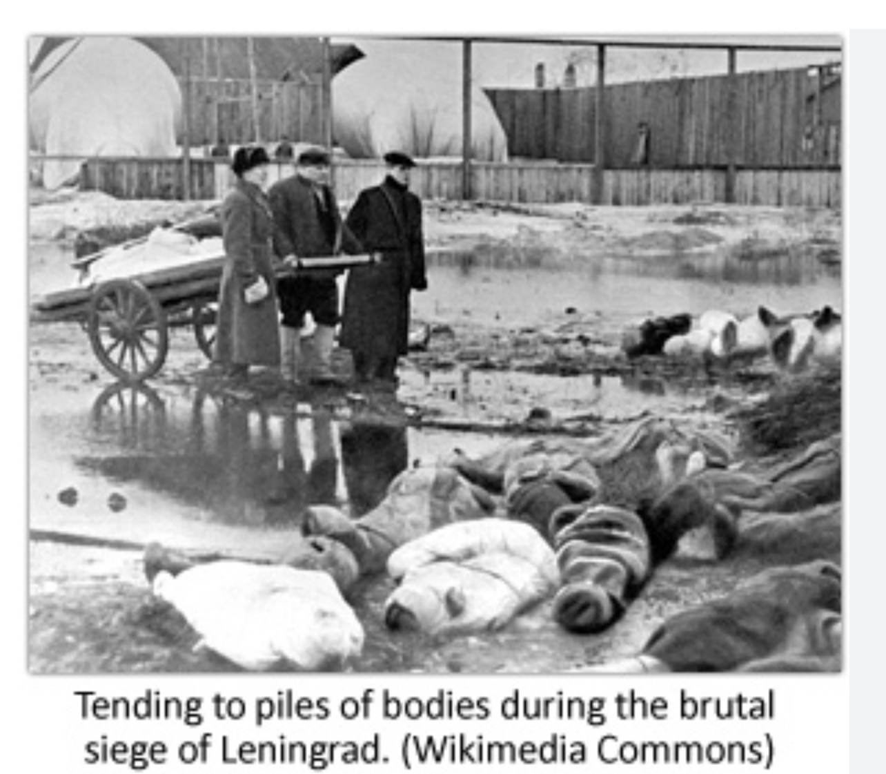 Wartime destruction and civilian impact in Soviet territory during the Great Patriotic War